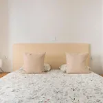 Vibe ,Wifi ,Espacio Trabajo,Playa ,Ocio